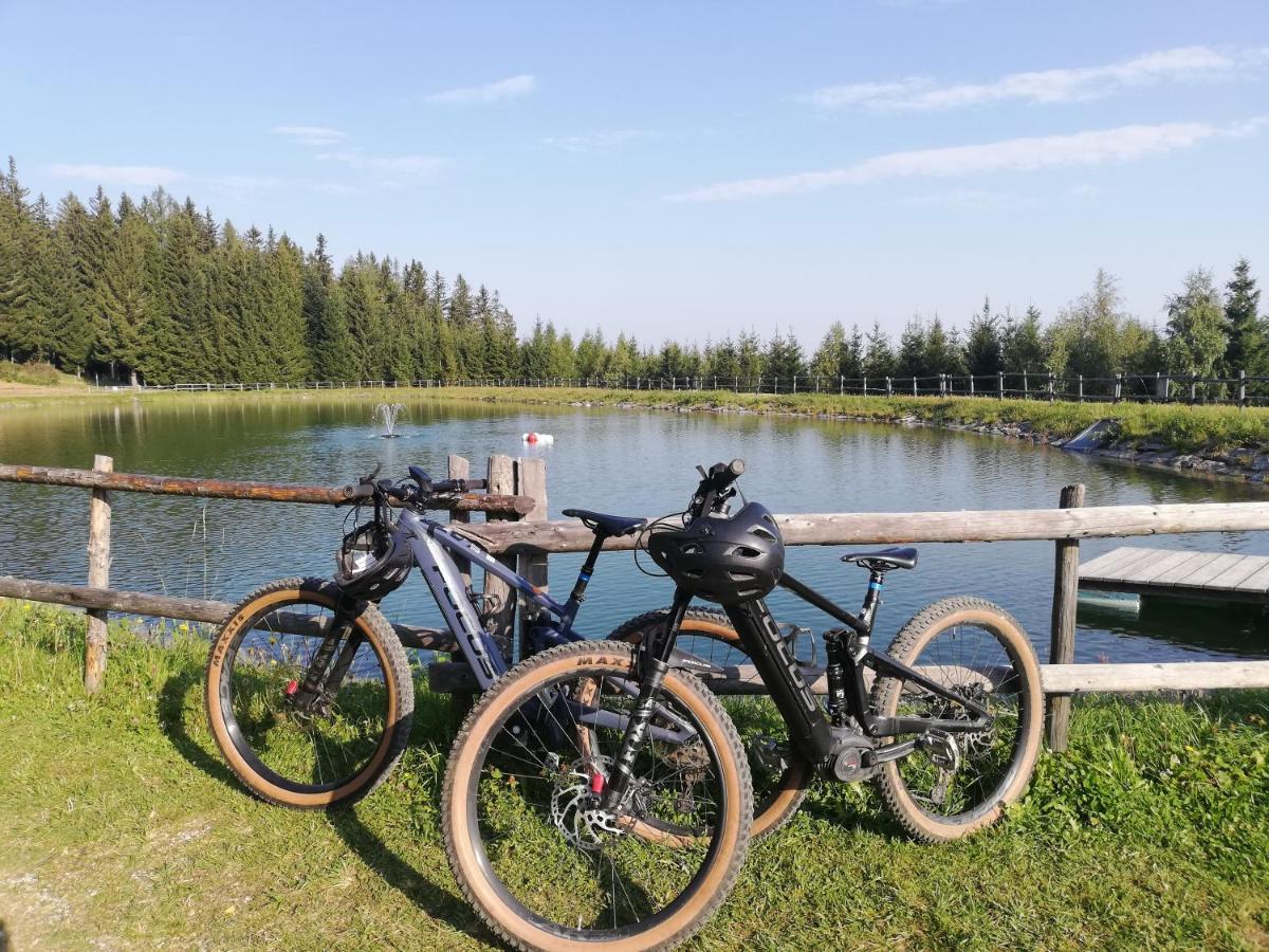 Weixl Schi&Bike Appartements-Bike In&Bike Out Neben Wexl Trails Bikepark Sankt Corona am Wechsel Exterior foto